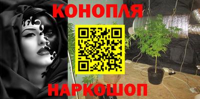 трава Кандалакша