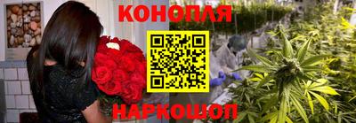 трава Кандалакша