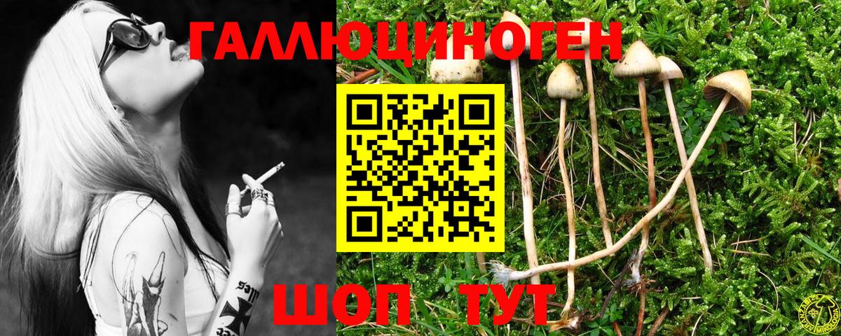 Псилоцибиновые грибы Cubensis  Галлюциногенные грибы Magic Shrooms  Усинск  где купить   Вход с VPN 