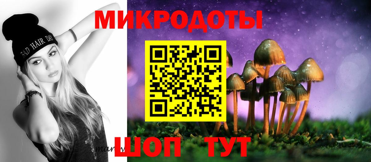 Псилоцибиновые грибы Psilocybe Усинск